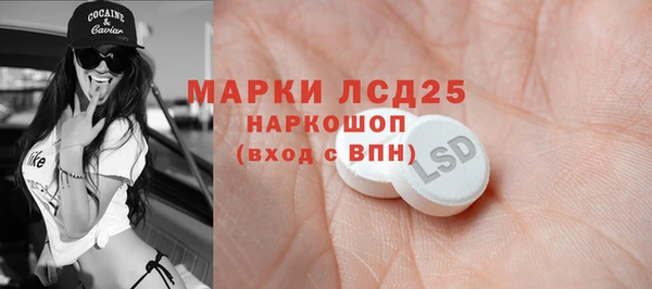 PSILOCYBIN Беломорск